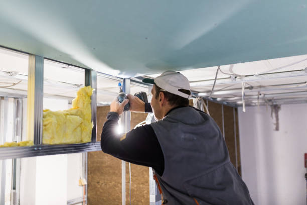 Best Commercial Insulation Services  in Whitewright, TX