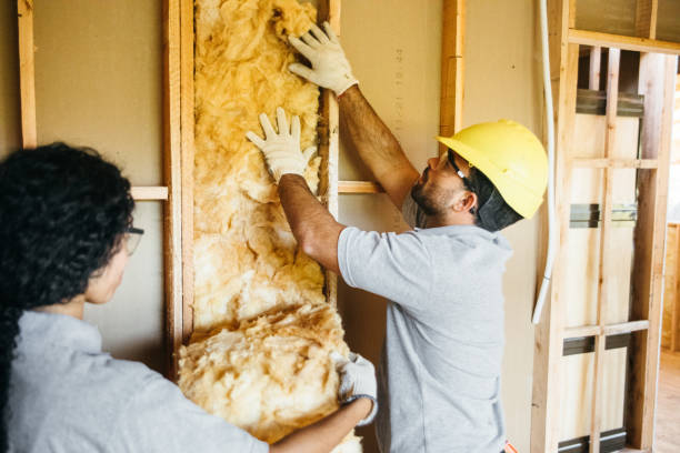 Best Blown-In Insulation  in Whitewright, TX